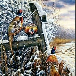 Meet your Posher, Felix